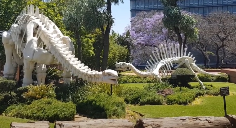 Ditsong Kruger Museum