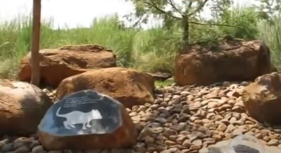Maropeng Heritage Museum