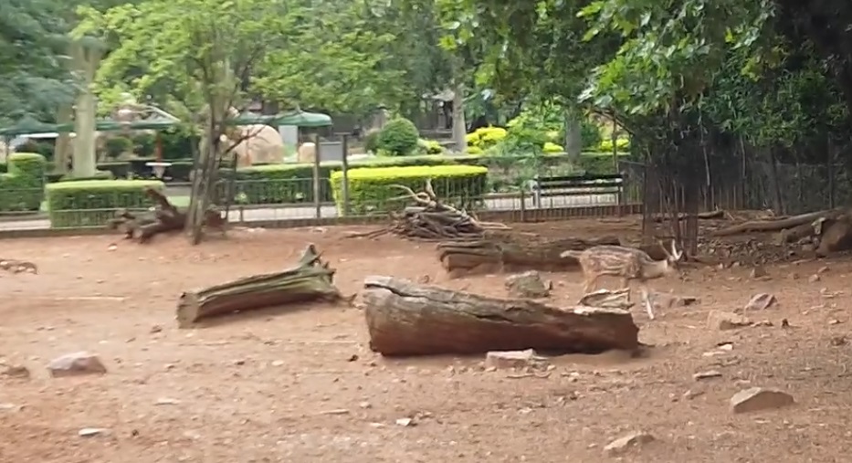 National Zoological Gardens